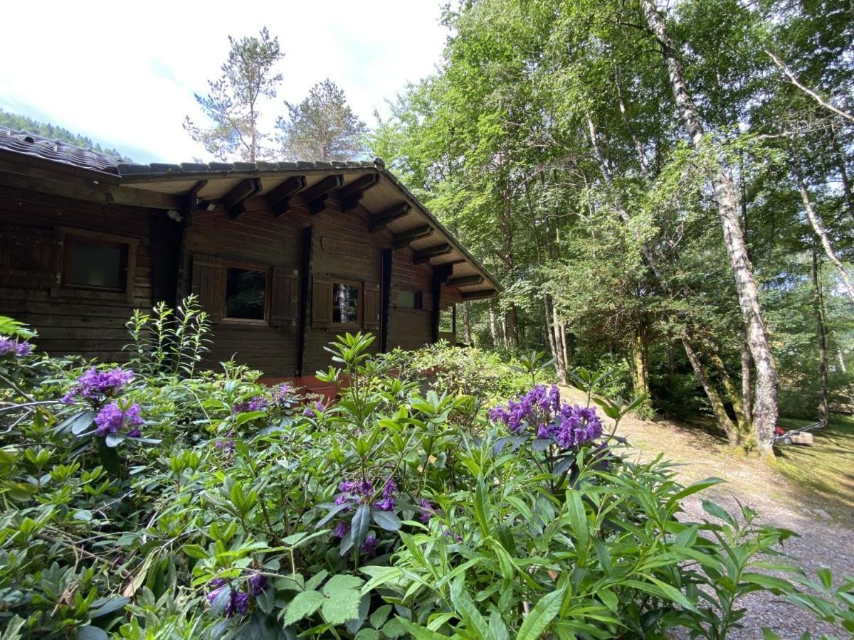 Le Fishing Lodge Chalet En Bois Avec Bain Nordique لابْريسْ المظهر الخارجي الصورة